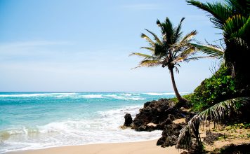 Kite club Cabarete closes after eviction order Cabarete beaches