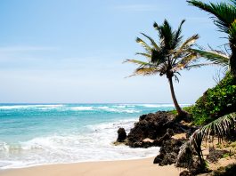 Flights to Puerto Plata Puerto Plata Gregorio Luperon Airport