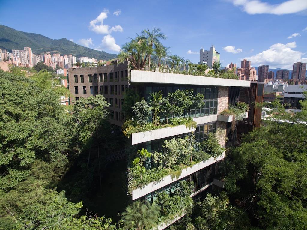 ALH+Taller-+El+Matorral+111