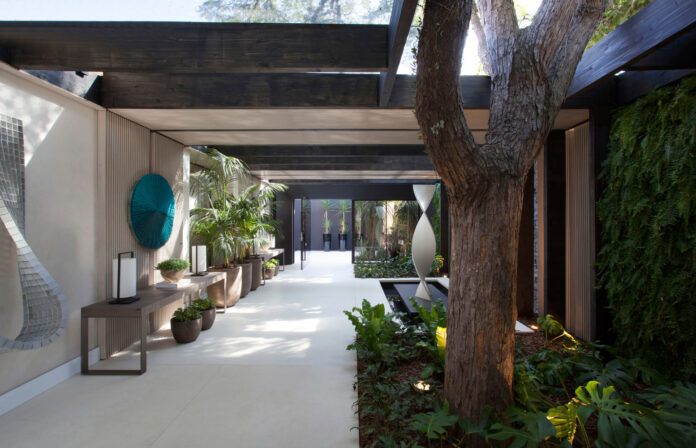 Cortesia_de_Débora_Aguiar